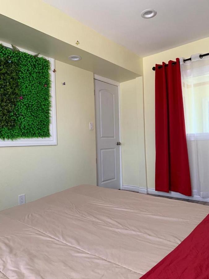 Lax Guest House Inglewood Esterno foto